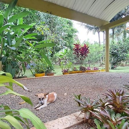 Casa Villa Anacahuita Jarabacoa Luaran gambar