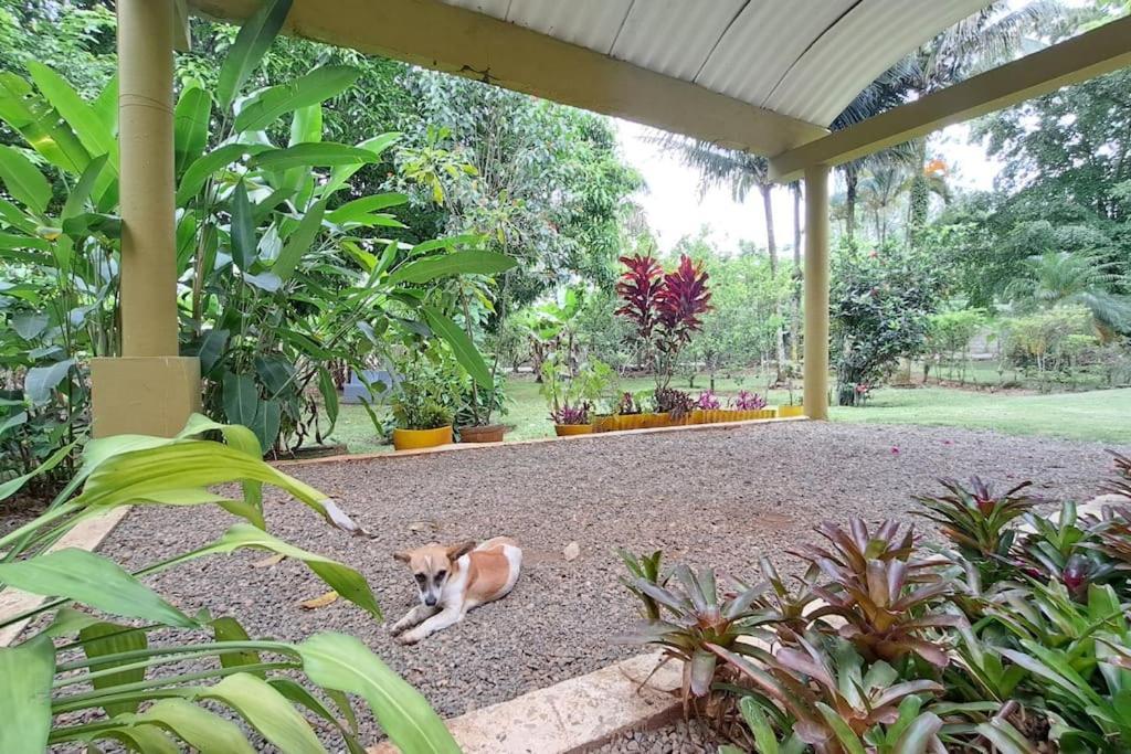 Casa Villa Anacahuita Jarabacoa Luaran gambar