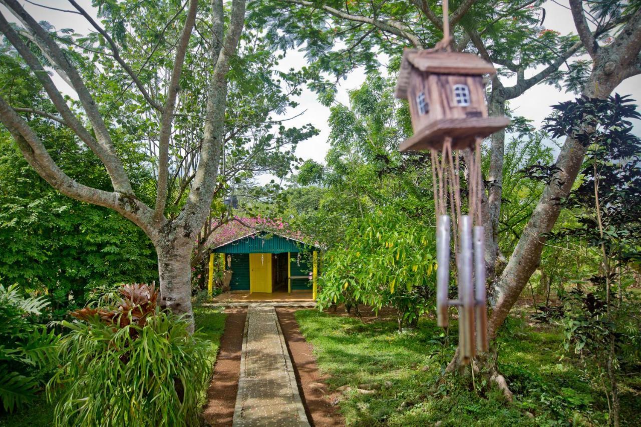 Casa Villa Anacahuita Jarabacoa Luaran gambar